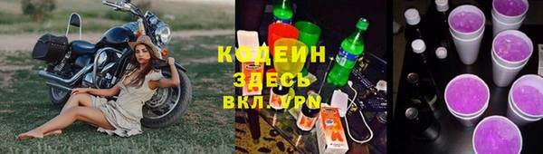 шишки Верея